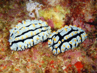 �^�e�q�_�C�{�E�~�E�V