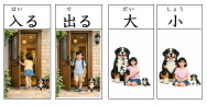 見て覚える漢字カード