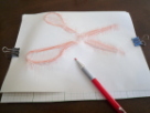 ���������Ȃ��悤�ɃN���b�v�ŗ��߂܂�