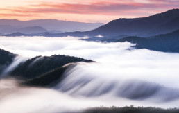 雲海