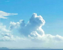 犬に見える雲