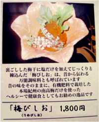 梅びしお資料