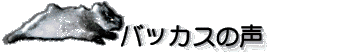 �o�b�J�X�̐�