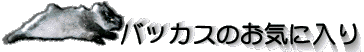 �o�b�J�X�̂��C�ɓ���