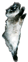 baccchus icon