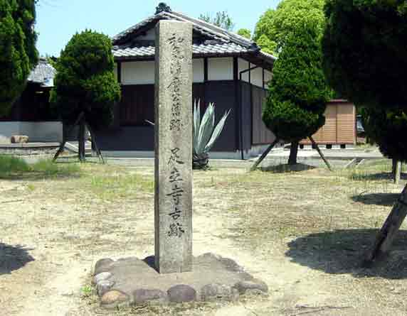 �a�C���������ւ̔�