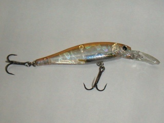 �ӡ��ե꡼��65LBS��CF���ӥʥ�