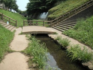 ����Τ����餮