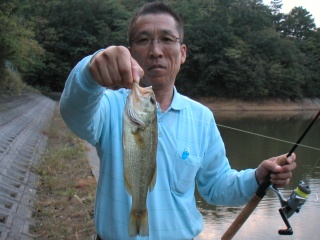 ��ȥХ��������Ӥˤƥ�����饤�ʥꥰ��