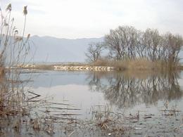 �����ϸ�