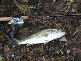 �Х�38����������ͥ�΢�ˤƥΡ����󥫡�����