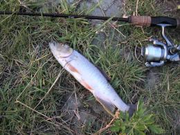 �ϥ�28�������������ϸ��ˤƥڥ󥷥�٥��Ȥ�