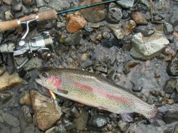 �˥��ޥ�36�����������ˤƥǥ����ץ����ӥ󥰥ߥΡ���