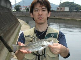 ��ꥪ�ȥ�������ͳ����ˤƥߥΡ���