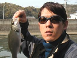 ��ꥪ�ȥ�������ͳ����ˤƥߥΡ���