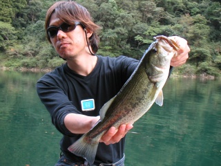 ��ꥪ�ȥХ�37��������������ˤƥ����إåɥꥰ��