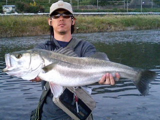 ��ꥪ�ȥ�����77�������ͭ����ˤƥݥåѡ���