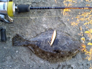 �ҥ�ᡢͳ����ˤƾ����ߥΡ���