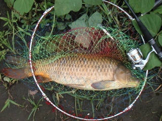 ����61������������ˤƥ���åɤ�