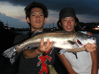 ��ꥪ�Ȱ��Ĥ���ȥ�����62��������ḫ��ˤƥ���åɤ�