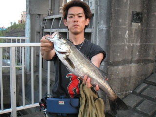 �եå�50��������ḫ��ˤƥХ��֥졼������