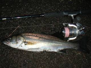 �եå�40��������ḫ��ˤƥХ��֥졼������