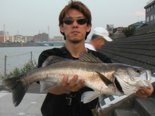 ��ꥪ�ȥ�����61��������ḫ��ˤƥߥΡ���