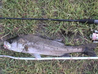 �եå�56��������ḫ��ˤƥߥΡ���