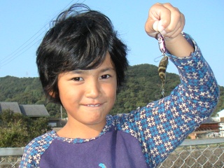 ���ȥҥ��ȥ��������ͳ����ˤƥ��ס����