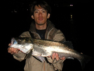 ��ꥪ�ȥ�����61��������ḫ��ˤƥߥΡ���