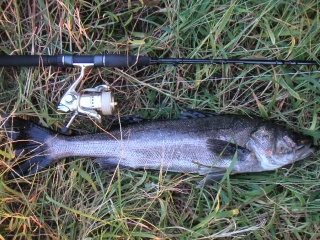 ������67�������������ˤƥߥΡ���