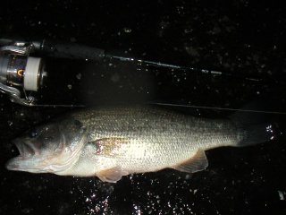 �Х�39������������ˤƥߥΡ���