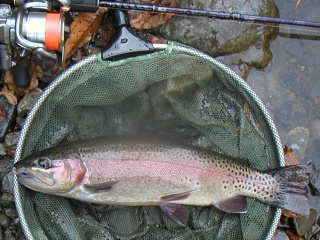 �˥��ޥ�34�����������ˤƥߥΡ���