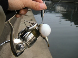 �ե���ͳ����ˤƥߥΡ���