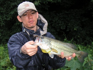 ��ꥪ�ȥХ�35.5�����������ˤƥ����إåɥꥰ��