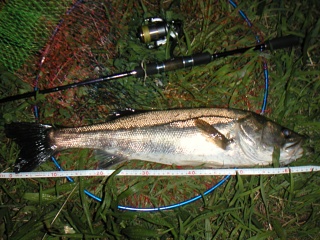 ������66�������������ˤƥ���åɤ�