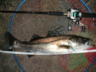 ������54�������������ˤƥߥΡ���