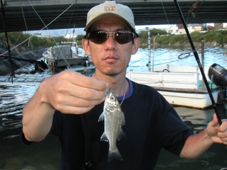 ��ꥪ�ȥ�����������ˤƥߥΡ���