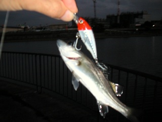 ��������������ˤƥ���åɤ�