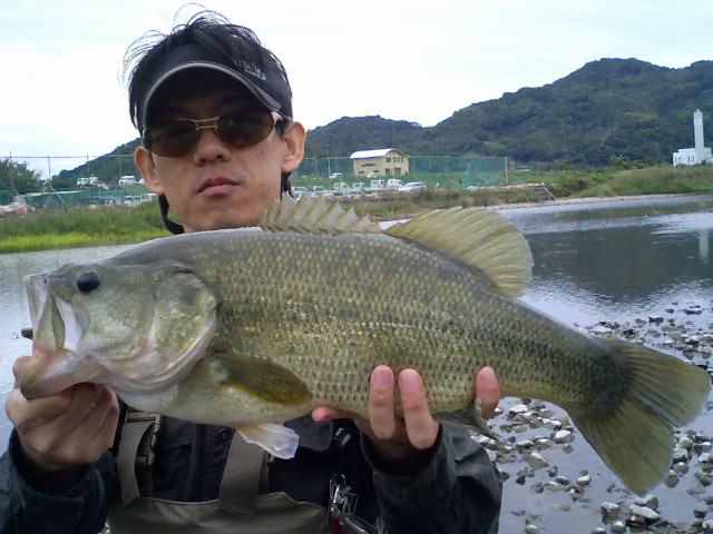 ��ꥪ�ȥХ�49�������ͭ����ˤƥ���åɥơ������