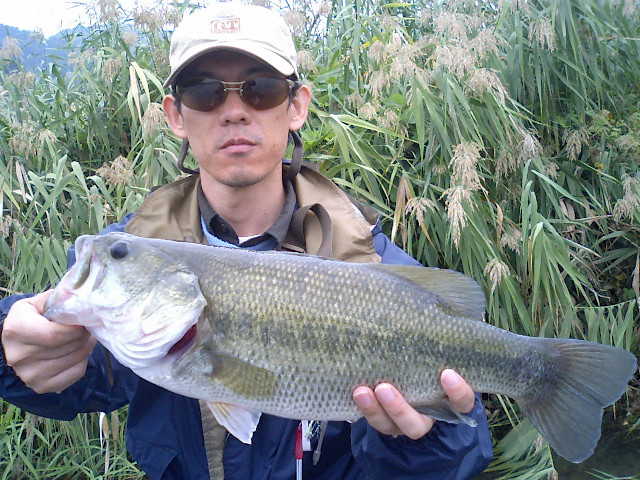 ��ꥪ�ȥХ�47�������ͭ����ˤƥ���åɥơ������