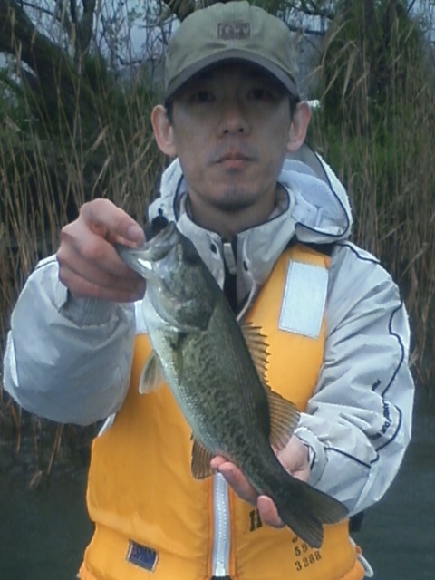 ��ꥪ�ȥХ�32�������������դˤƥ���åɤ�