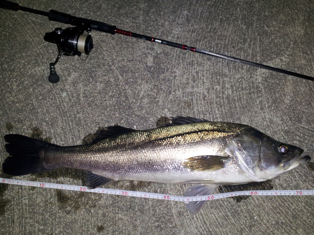 ������72�����������ˤƥߥΡ���