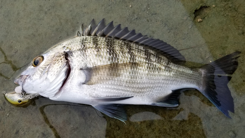 ����22�������ͳ����ˤƶ˾�����󥯥٥��Ȥ�