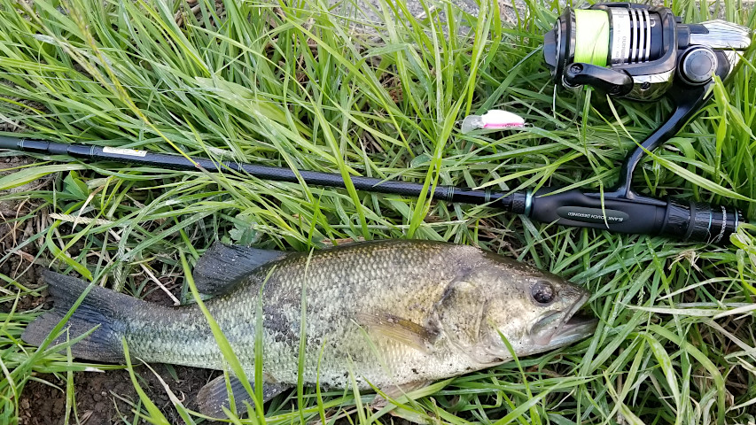 �Х�32�������������ˤƾ�������󥯥٥��Ȥ�