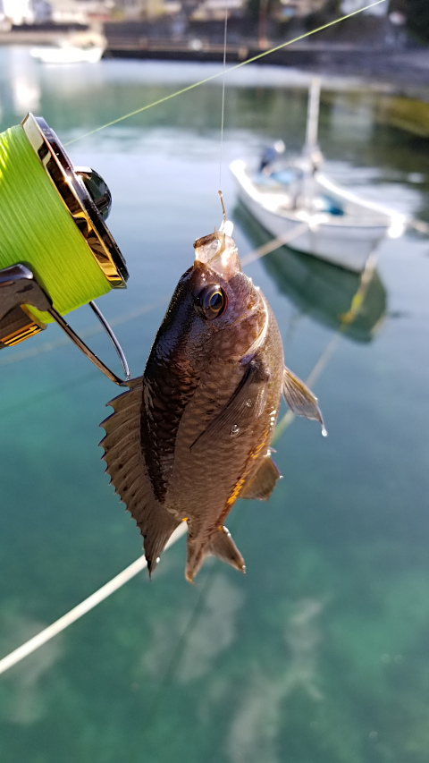 ����������������ɤˤƥ������ߤ�