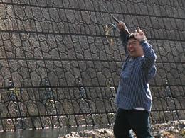 �긶�ᡢ�����ˤ��ϵ�����