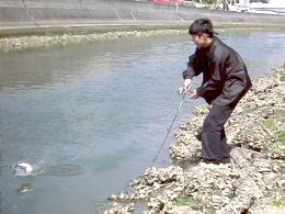 �Ȥ⤢���ȥ�������ͳ����ˤƥڥ󥷥�٥��Ȥ�