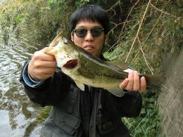 �Ȥ⤢���ȥХ��������ӤˤƥΡ����󥫡���������ߤ�