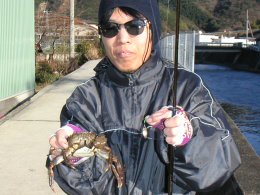 �Ȥ⤢���ȥ��ˡ�ͳ����ˤƥ��ס����